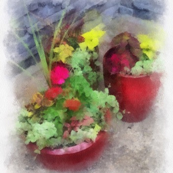 container garden watercolor gingezel web.jpg