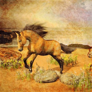 Jumping Horse watercolor gingezel web.jpg