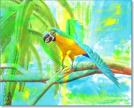 Blue and yellow macaw.