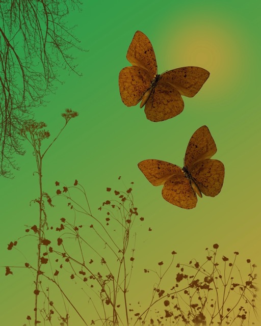 A mix of 3D and brushwork resulting in two pretty butterfllies.