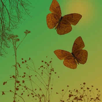 golden butterfiles art gingezel web.jpg