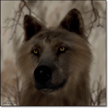 brown-wolf-art-gingezel.jpg