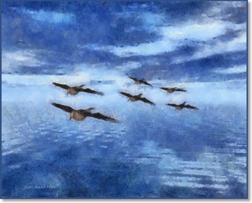 Seagulls over ocean.