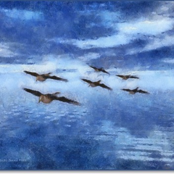 seagulls-over-ocean-oil-gingezel.jpg
