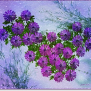 michaelmas-daisies-art-gingezel.jpg