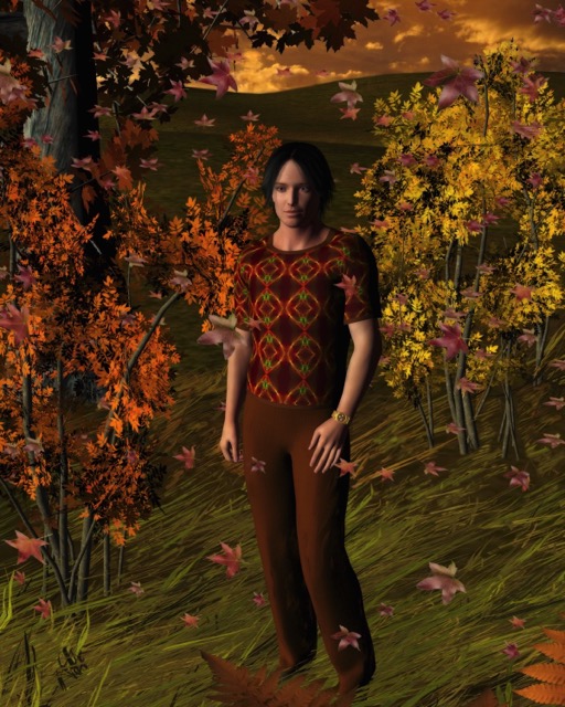 A young man is alking in the autumn woods at sunset.