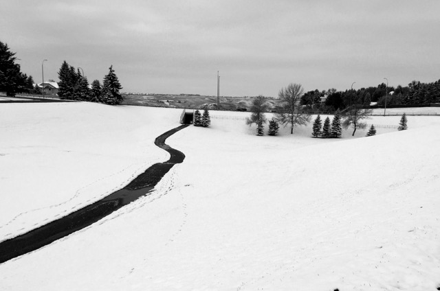 Sugar Bowl park in Lethbridge in winter.